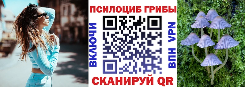Псилоцибиновые грибы ЛСД Елец