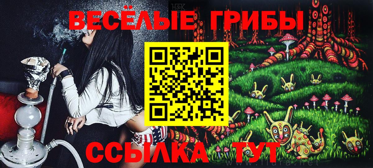 Псилоцибиновые грибы ЛСД Елец