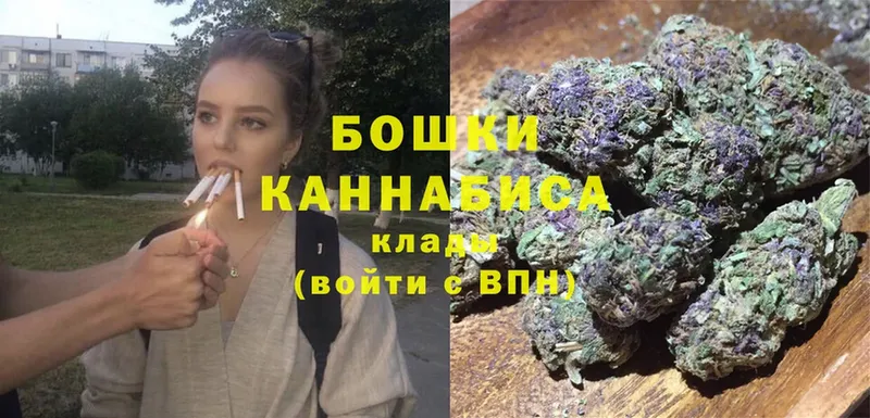 как найти наркотики  Елец  Бошки Шишки Amnesia 