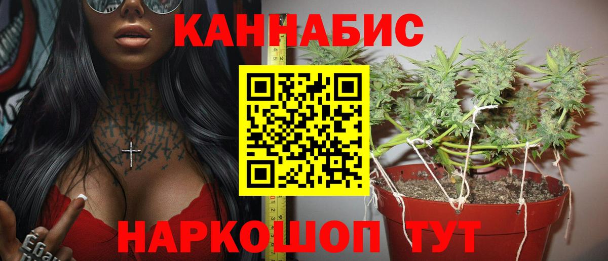 Каннабис ГИДРОПОН  Каннабис индика  Елец  МАРИХУАНА Ganja 